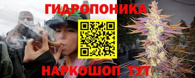 СК Заволжье