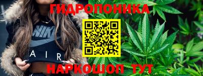 mdpv Заводоуковск