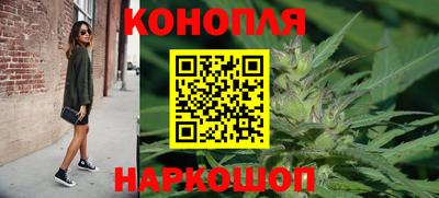 mdpv Заводоуковск