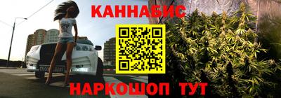 mdpv Заводоуковск