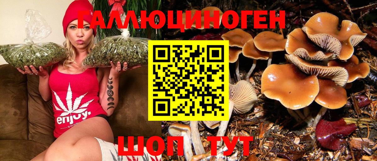 Псилоцибиновые грибы Psilocybe Луховицы