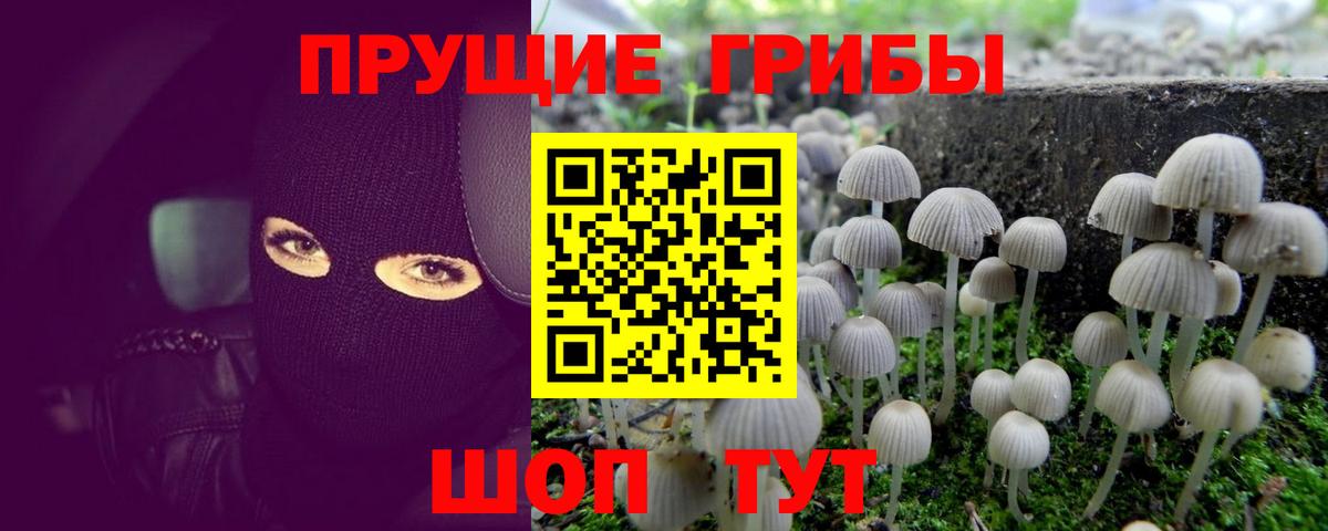 Луховицы  Псилоцибиновые грибы Cubensis  Вход с VPN  Галлюциногенные грибы MAGIC MUSHROOMS 